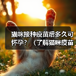 猫咪接种疫苗后多久可怀孕？（了解猫咪疫苗接种与怀孕之间的时间间隔）（图3）