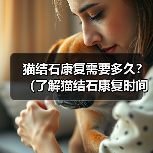 猫结石康复需要多久？（了解猫结石康复时间的关键因素。）（图4）