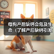 母狗产后缺钙会危及生命(了解产后缺钙引发的危机,及时预防保护)(图2) 母狗产后缺钙会危及生命(了解产后缺钙引发的危机,及时预防保护)(图2)