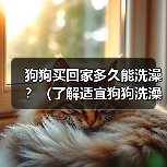 狗狗买回家多久能洗澡?(了解适宜狗狗洗澡的时间和方法)(图2) 狗狗买回家多久能洗澡?(了解适宜狗狗洗澡的时间和方法)(图2)