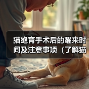 猫绝育手术后的醒来时间及注意事项（了解猫绝育手术后的恢复过程，确保宠物的健康和安全）（图4）
