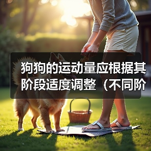 狗狗的运动量应根据其阶段适度调整(不同阶段的狗狗需要不同的运动量和活动方式)(图1) 狗狗的运动量应根据其阶段适度调整(不同阶段的狗狗需要不同的运动量和活动方式)(图1)