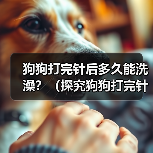狗狗打完针后多久能洗澡?(探究狗狗打完针后洗澡的最佳时间和注意事项)(图4) 狗狗打完针后多久能洗澡?(探究狗狗打完针后洗澡的最佳时间和注意事项)(图4)