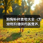 狗狗补钙食物大全（为宠物狗提供均衡营养，助其健康成长）（图1）