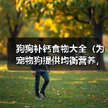 狗狗补钙食物大全（为宠物狗提供均衡营养，助其健康成长）（图3）