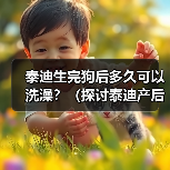 泰迪生完狗后多久可以洗澡？（探讨泰迪产后洗澡的最佳时间及相关注意事项）（图1）