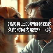 狗狗身上的癣能够在多久的时间内痊愈?(狗狗癣症疗程及治疗方法解析)(图1) 狗狗身上的癣能够在多久的时间内痊愈?(狗狗癣症疗程及治疗方法解析)(图1)