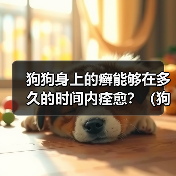 狗狗身上的癣能够在多久的时间内痊愈?(狗狗癣症疗程及治疗方法解析)(图3) 狗狗身上的癣能够在多久的时间内痊愈?(狗狗癣症疗程及治疗方法解析)(图3)