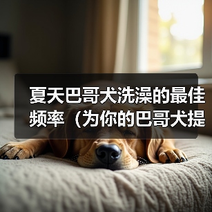 夏天巴哥犬洗澡的最佳频率（为你的巴哥犬提供清爽的夏日护理）（图1）