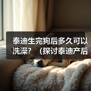 泰迪生完狗后多久可以洗澡？（探讨泰迪产后洗澡的最佳时间及相关注意事项）（图3）