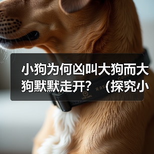 小狗为何凶叫大狗而大狗默默走开?(探究小狗与大狗之间的行为差异)(图1) 小狗为何凶叫大狗而大狗默默走开?(探究小狗与大狗之间的行为差异)(图1)