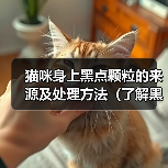 猫咪身上黑点颗粒的来源及处理方法(了解黑点颗粒的成因,让猫咪健康快乐)(图1) 猫咪身上黑点颗粒的来源及处理方法(了解黑点颗粒的成因,让猫咪健康快乐)(图1)