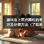猫咪身上黑点颗粒的来源及处理方法(了解黑点颗粒的成因,让猫咪健康快乐)(图2) 猫咪身上黑点颗粒的来源及处理方法(了解黑点颗粒的成因,让猫咪健康快乐)(图2)