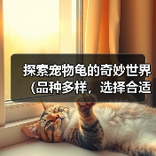 探索宠物龟的奇妙世界(品种多样,选择合适的宠物龟)(图2) 探索宠物龟的奇妙世界(品种多样,选择合适的宠物龟)(图2)