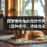 探索宠物龟的奇妙世界(品种多样,选择合适的宠物龟)(图3) 探索宠物龟的奇妙世界(品种多样,选择合适的宠物龟)(图3)