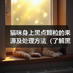 猫咪身上黑点颗粒的来源及处理方法(了解黑点颗粒的成因,让猫咪健康快乐)(图3) 猫咪身上黑点颗粒的来源及处理方法(了解黑点颗粒的成因,让猫咪健康快乐)(图3)