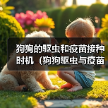 狗狗的驱虫和疫苗接种时机（狗狗驱虫与疫苗接种的时间间隔和注意事项）（图3）