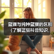 蓝猫与纯种蓝猫的区别（了解蓝猫科普知识，从头探寻不一样的蓝猫世界）（图2）