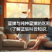 蓝猫与纯种蓝猫的区别（了解蓝猫科普知识，从头探寻不一样的蓝猫世界）（图4）