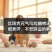比瑞吉元气乌鸡猫粮详细测评，不想踩雷的新手铲屎官可参考！（图2）