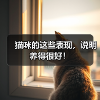 猫咪的这些表现,说明养得很好!(图2) 猫咪的这些表现,说明养得很好!(图2)