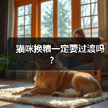 猫咪换粮一定要过渡吗？（图2）