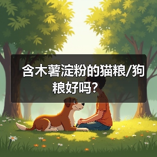 含木薯淀粉的猫粮/狗粮好吗？（图2）