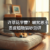 许翠花平替?喵梵思王贵皮植物猫砂测评(图1) 许翠花平替?喵梵思王贵皮植物猫砂测评(图1)