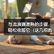 与流浪猫混熟的步骤，轻松收服它（这几招教你成为流浪猫的朋友）（图4）