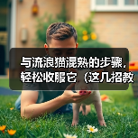 与流浪猫混熟的步骤，轻松收服它（这几招教你成为流浪猫的朋友）（图3）