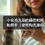 小金毛洗澡的最佳时间和频率（宠物狗洗澡有讲究，别错过最佳时机！）（图1）