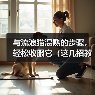 与流浪猫混熟的步骤，轻松收服它（这几招教你成为流浪猫的朋友）（图2）
