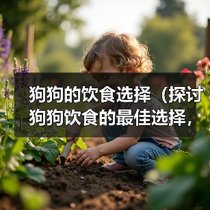 狗狗的饮食选择(探讨狗狗饮食的最佳选择,米饭与狗粮)(图3) 狗狗的饮食选择(探讨狗狗饮食的最佳选择,米饭与狗粮)(图3)