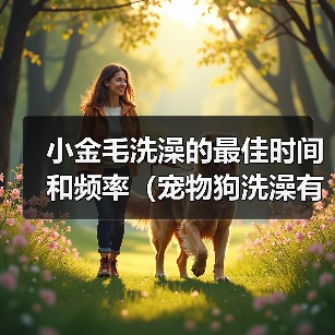 小金毛洗澡的最佳时间和频率（宠物狗洗澡有讲究，别错过最佳时机！）（图2）