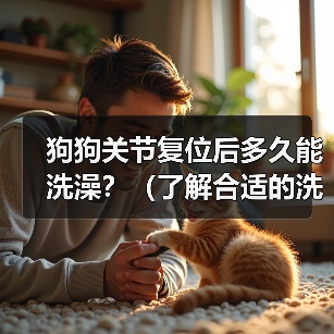 狗狗关节复位后多久能洗澡?(了解合适的洗澡时间,为你的狗狗提供最佳的关节复位护理)(图3) 狗狗关节复位后多久能洗澡?(了解合适的洗澡时间,为你的狗狗提供最佳的关节复位护理)(图3)