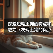 探索短毛土狗的特点和魅力（发现土狗的优点与独特之处）（图1）