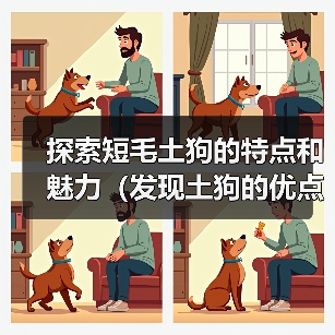 探索短毛土狗的特点和魅力（发现土狗的优点与独特之处）（图2）