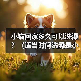 小猫回家多久可以洗澡？（适当时间洗澡是小猫健康的关键）（图4）