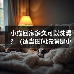 小猫回家多久可以洗澡？（适当时间洗澡是小猫健康的关键）（图1）