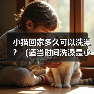 小猫回家多久可以洗澡？（适当时间洗澡是小猫健康的关键）（图3）