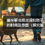 猫咪驱虫后出现拉肚子的时间及原因（探究猫咪驱虫后何时开始出现拉肚子的情况以及可能的原因）（图2）