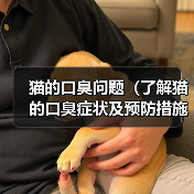 猫的口臭问题（了解猫的口臭症状及预防措施）（图3）