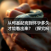 从柯基配完到怀孕多久才能看出来?(探究柯基繁殖的时间节点和迹象)(图4) 从柯基配完到怀孕多久才能看出来?(探究柯基繁殖的时间节点和迹象)(图4)