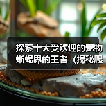探索十大受欢迎的宠物蜥蜴界的王者(揭秘爬宠世界中最受欢迎的宠物蜥蜴,挖掘这些独特生物的魅力!)(图2) 探索十大受欢迎的宠物蜥蜴界的王者(揭秘爬宠世界中最受欢迎的宠物蜥蜴,挖掘这些独特生物的魅力!)(图2)