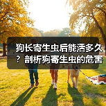狗长寄生虫后能活多久?剖析狗寄生虫的危害及预防方法(了解狗寄生虫对狗健康的影响,提前预防保护宠物)(图1) 狗长寄生虫后能活多久?剖析狗寄生虫的危害及预防方法(了解狗寄生虫对狗健康的影响,提前预防保护宠物)(图1)
