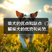 柴犬的优点和缺点(了解柴犬的优势和劣势,做出明智的选择)(图3) 柴犬的优点和缺点(了解柴犬的优势和劣势,做出明智的选择)(图3)
