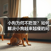 小狗为何不吃饭？如何解决小狗越来越瘦的问题（了解小狗不吃饭的原因及有效的应对方法）（图3）