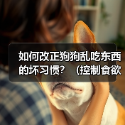 如何改正狗狗乱吃东西的坏习惯?(控制食欲培养良好的饮食习惯)(图3) 如何改正狗狗乱吃东西的坏习惯?(控制食欲培养良好的饮食习惯)(图3)