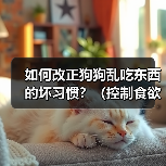 如何改正狗狗乱吃东西的坏习惯?(控制食欲培养良好的饮食习惯)(图2) 如何改正狗狗乱吃东西的坏习惯?(控制食欲培养良好的饮食习惯)(图2)