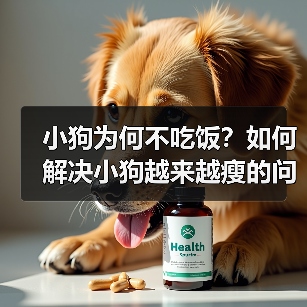 小狗为何不吃饭？如何解决小狗越来越瘦的问题（了解小狗不吃饭的原因及有效的应对方法）（图1）